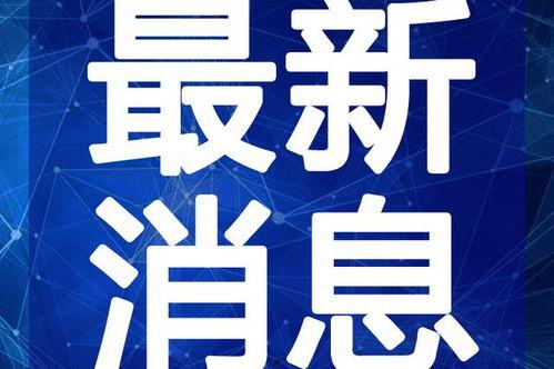 辛巴鹿爆料视频最新一期,揭秘娱乐圈惊人内幕!