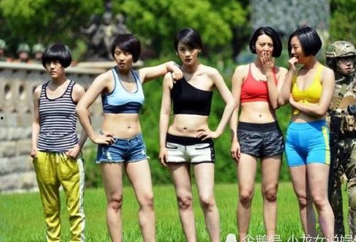 电视剧女子特战队全集在线观看,热血铸就传奇,全集在线观看,激情燃烧的青春岁月